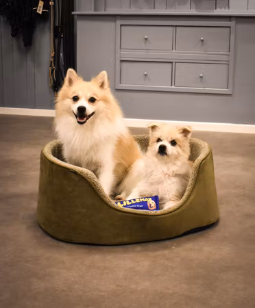 Sherpa bädd -  Olika storlekar