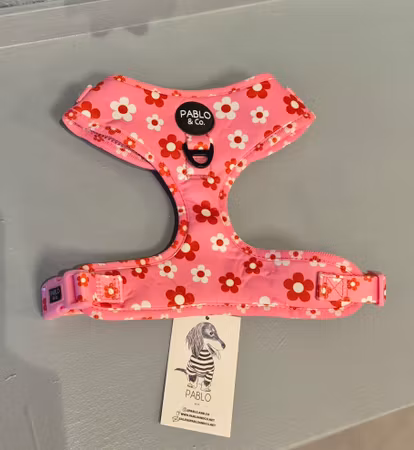 Mjuk Sele - Flower Power Pablo o co