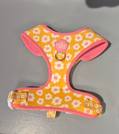 Make My Daisy - Mjuk Sele  | Holly and Co