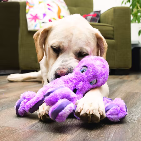 Bläckfisk Mjuk Leksak Kong