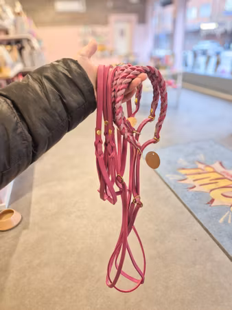 Retriverkoppel läder -Cederhund (Limited Edition)