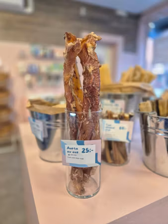Aorta av Oxe