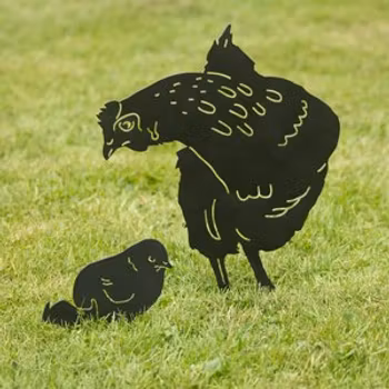 Siluett Kyckling med ägg