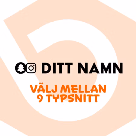 Snapchat & Instagram + Ditt Namn