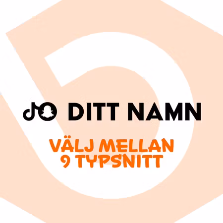 Tiktok & Snapchat + Ditt Namn