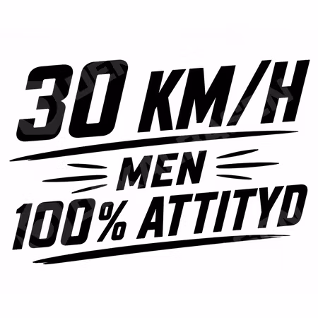 100% Attityd – Dekal