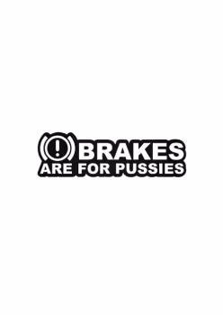 Brakes are for pussies