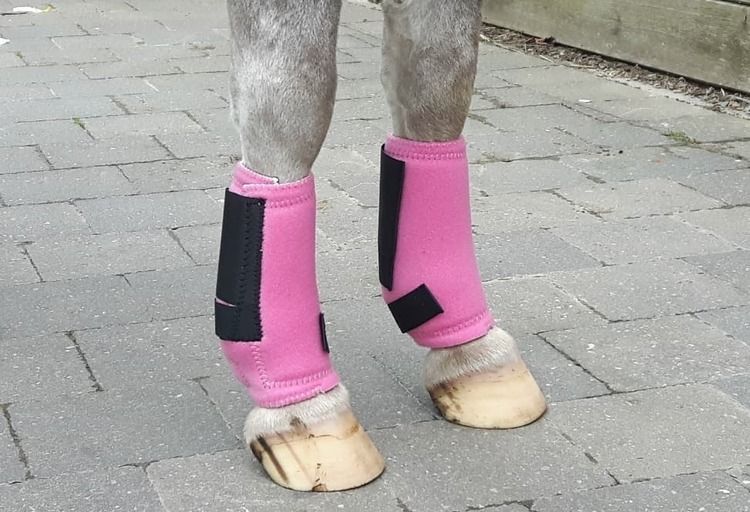 HB neoprenskydd minishettis-shettis (flera färger)