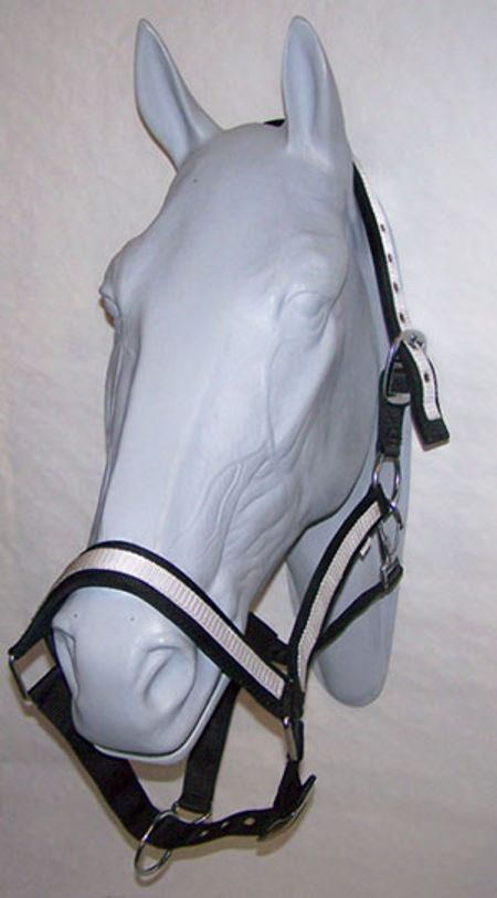 Pro Cheval grimma strl Kallblod