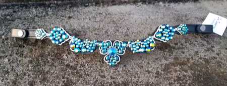 NI Ahmedabad pannband cob-xf