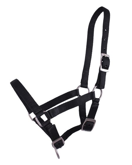 QHP fölgrimma falabella-full (flera färger)