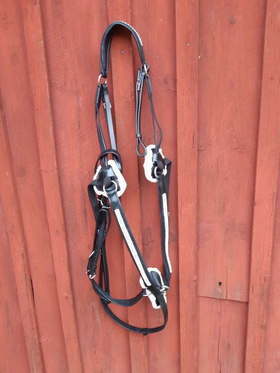 SM 5-punkts förbygel med martingal och kristallerxfull-xxfull