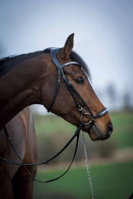 Rea SB Diamond remontträns xfull