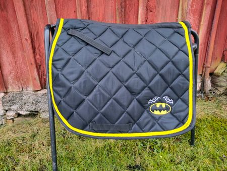 2:a sortering Batman schabrak allround minishettis-ponny