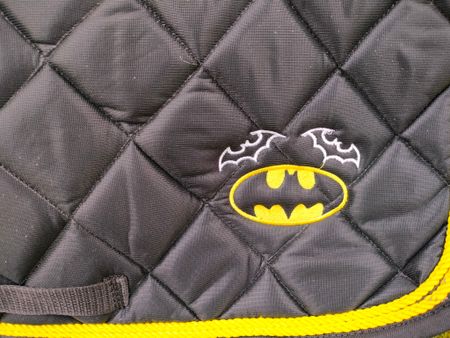 2:a sortering Batman schabrak allround minishettis-ponny