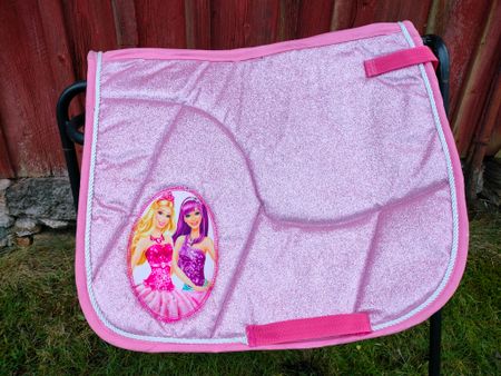 2:a sortering glitter schabrak allround shettis-ponny
