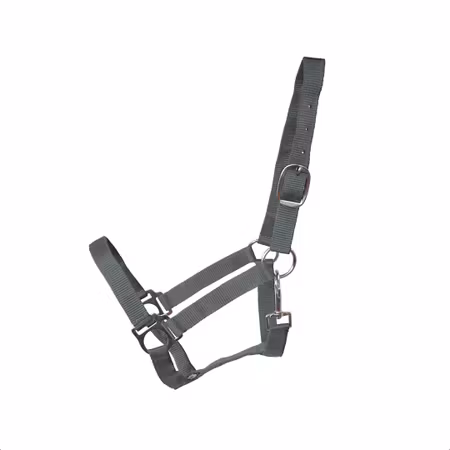 EB Meadow nylongrimma Xfull-3Xfull
