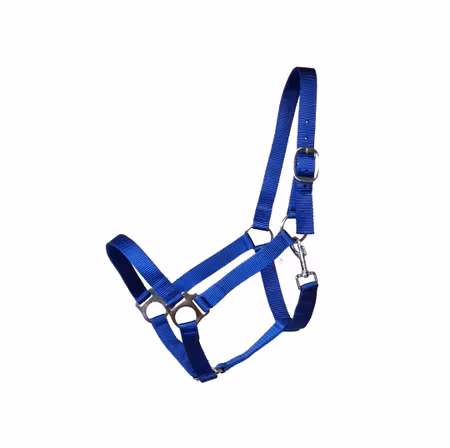 EB Meadow nylongrimma Xfull-3Xfull