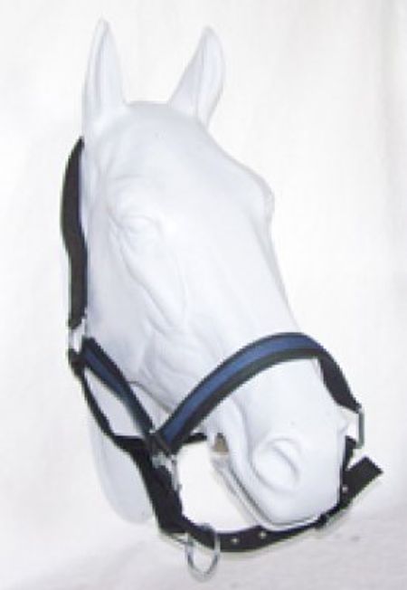 Pro Cheval grimma strl Kallblod