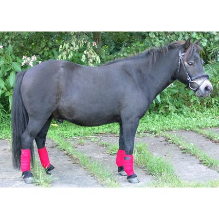 German Riding benlindor shettis (flera färger)