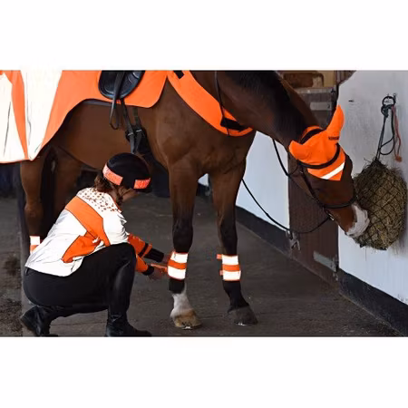Equisafety reflexhuva