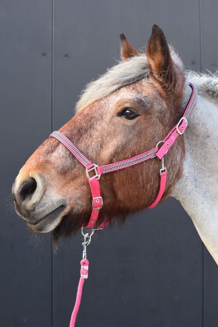 HB Diamonds grimma XXfull (flera färger)