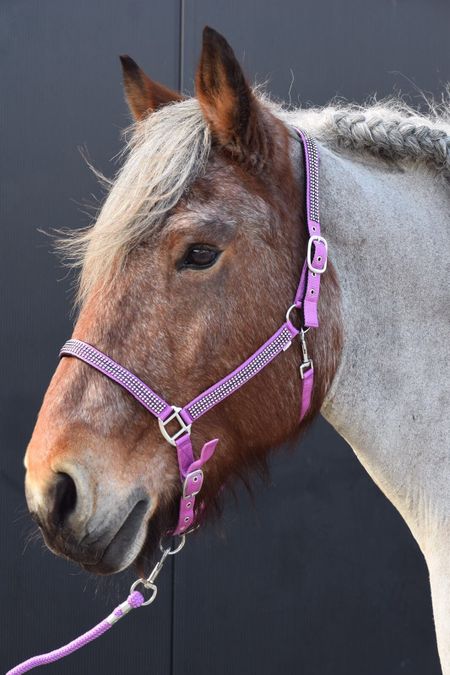 HB Diamonds grimma XXfull (flera färger)