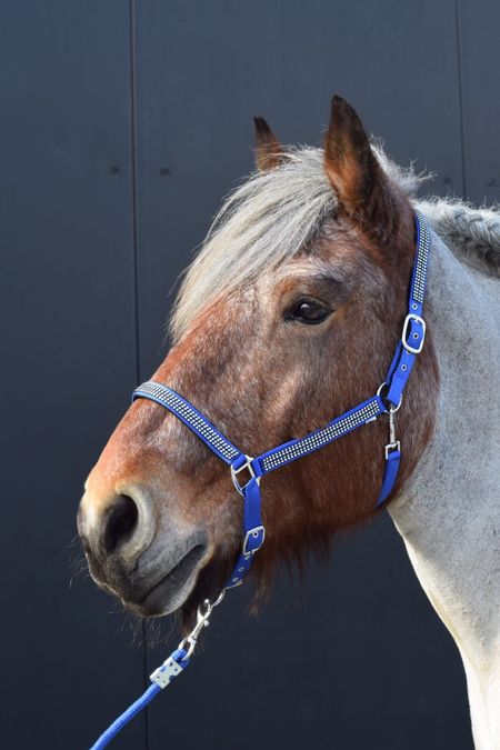 HB Diamonds grimma XXfull (flera färger)