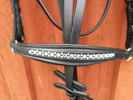 Rea SB Diamond remontträns xfull