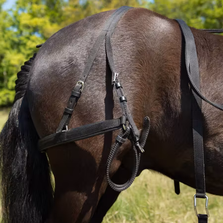 REA Globus bröstsele strl Minishetttis