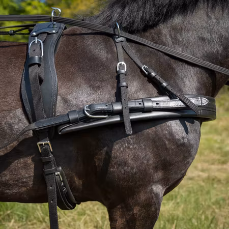 REA Globus bröstsele strl Minishetttis