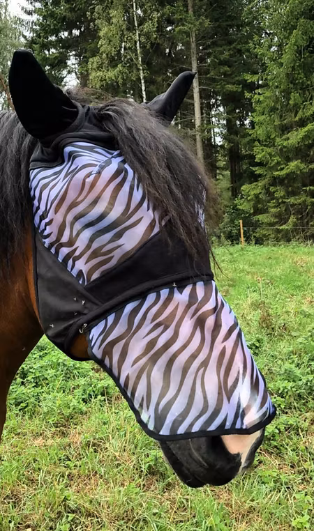 Flughuva Zebra xs, xfull,xxfull