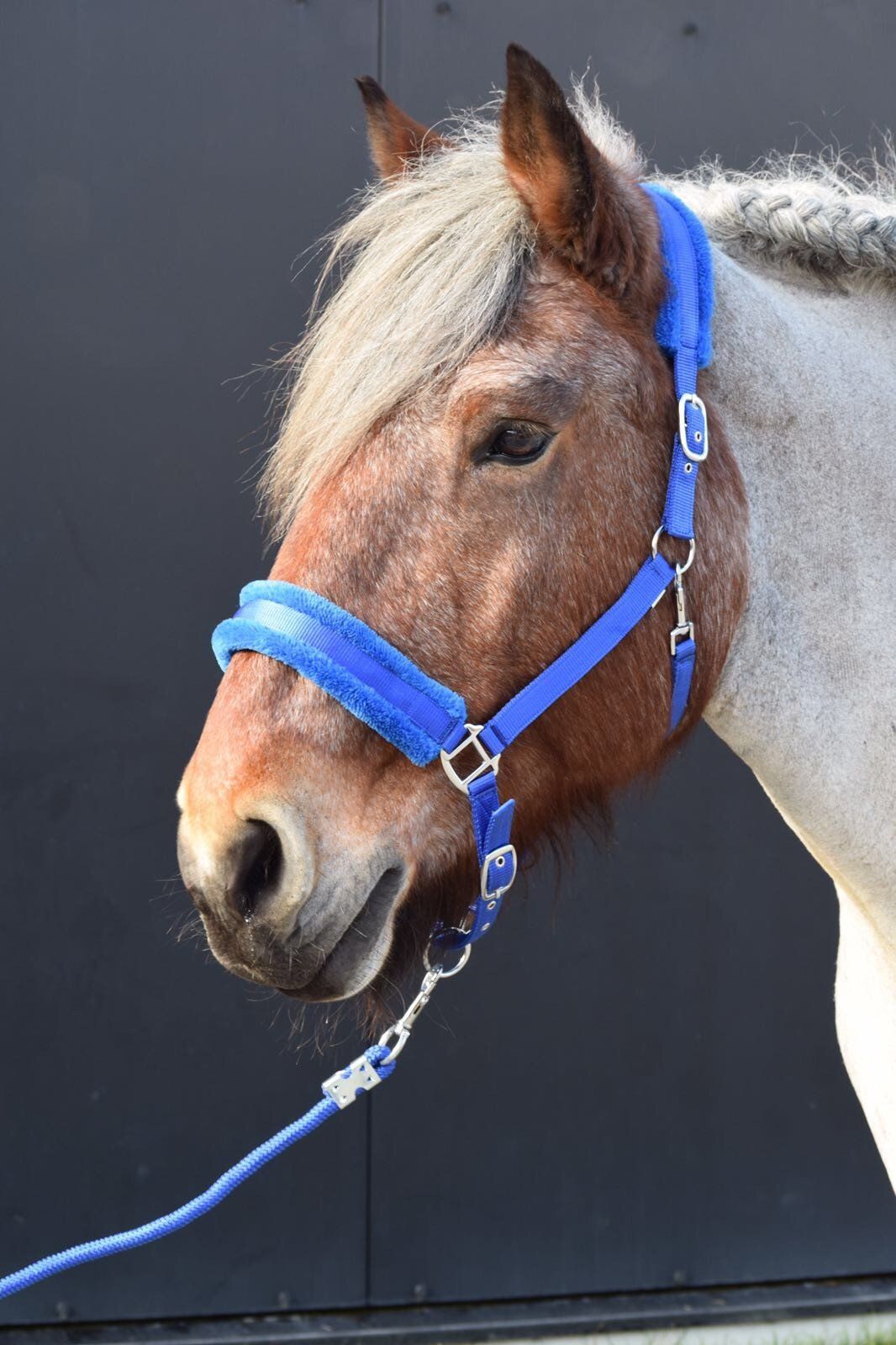 HB fleecefodrad grimma XXfull (Flera färger)