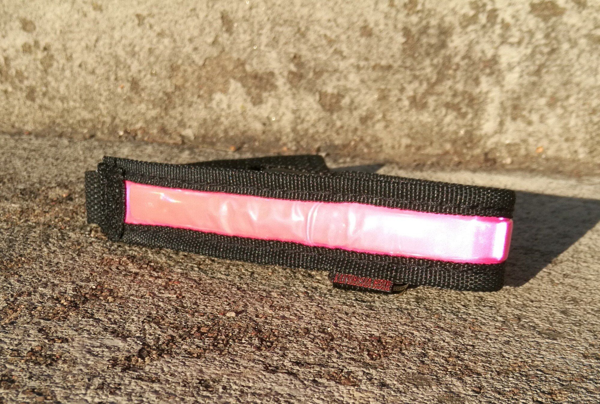 Equisafety ledbelysning till ben eller hundhalsband