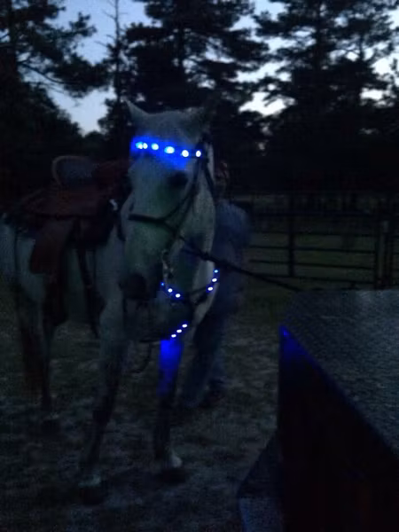 Led belysning pannband