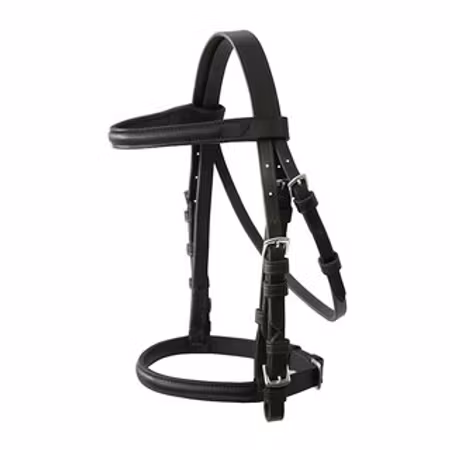 German riding träns Take it easy str shettis