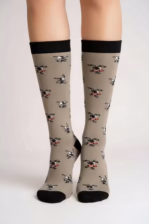 Grå hund stödstrumpa