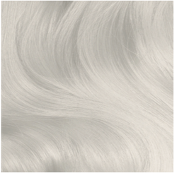 COOL.ANGEL, Kevin Murphy