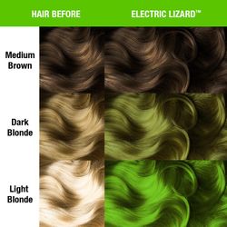 Electric Lizard - Classic - Manic Panic
