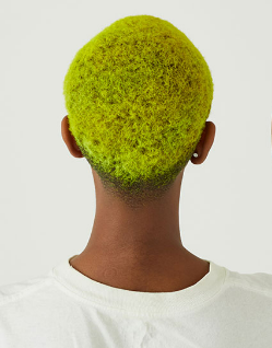 Neon Yellow, Staino