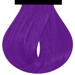Plum - Staino x Fab Pro