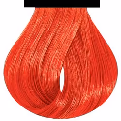 Flame, Staino