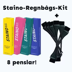Specialdeal! Staino Regnbågs-kit & 8 st färgpenslar