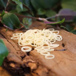 Natural Latex Rubber Bands - Raw Roots