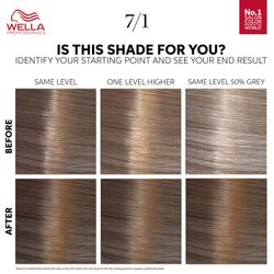 7/1 Medium Ash Blonde - Wella Color Touch