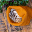 Slouchy Satinlined Beanie - Raw Roots