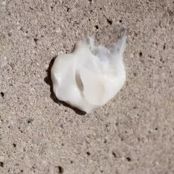 Softening Shave Cream, Oway  100 ml