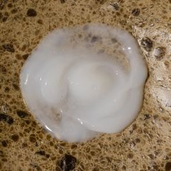Enriching Hair Conditioner -Oway