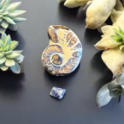 Handgjord Keramiksnäcka