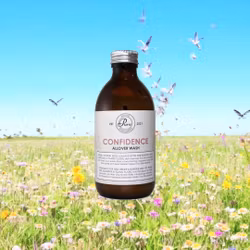 CONFIDENCE Allover Wash - Holistic Pure Quintessence